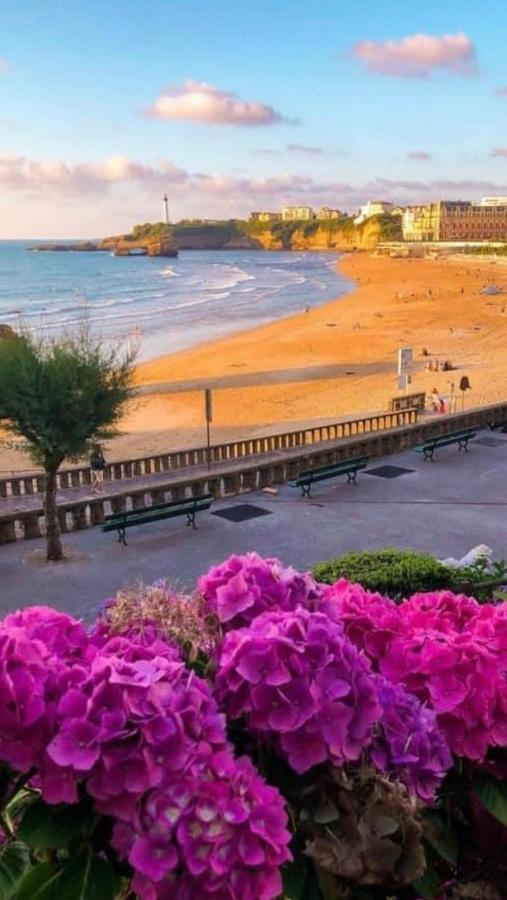 Residence La Croisiere- Appt Duplex 6 Personnes Anglet Buitenkant foto